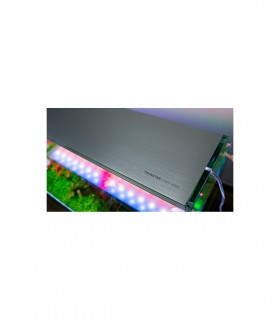 TWINSTAR LIGHT III RGB 1200SA - 120/130CMS